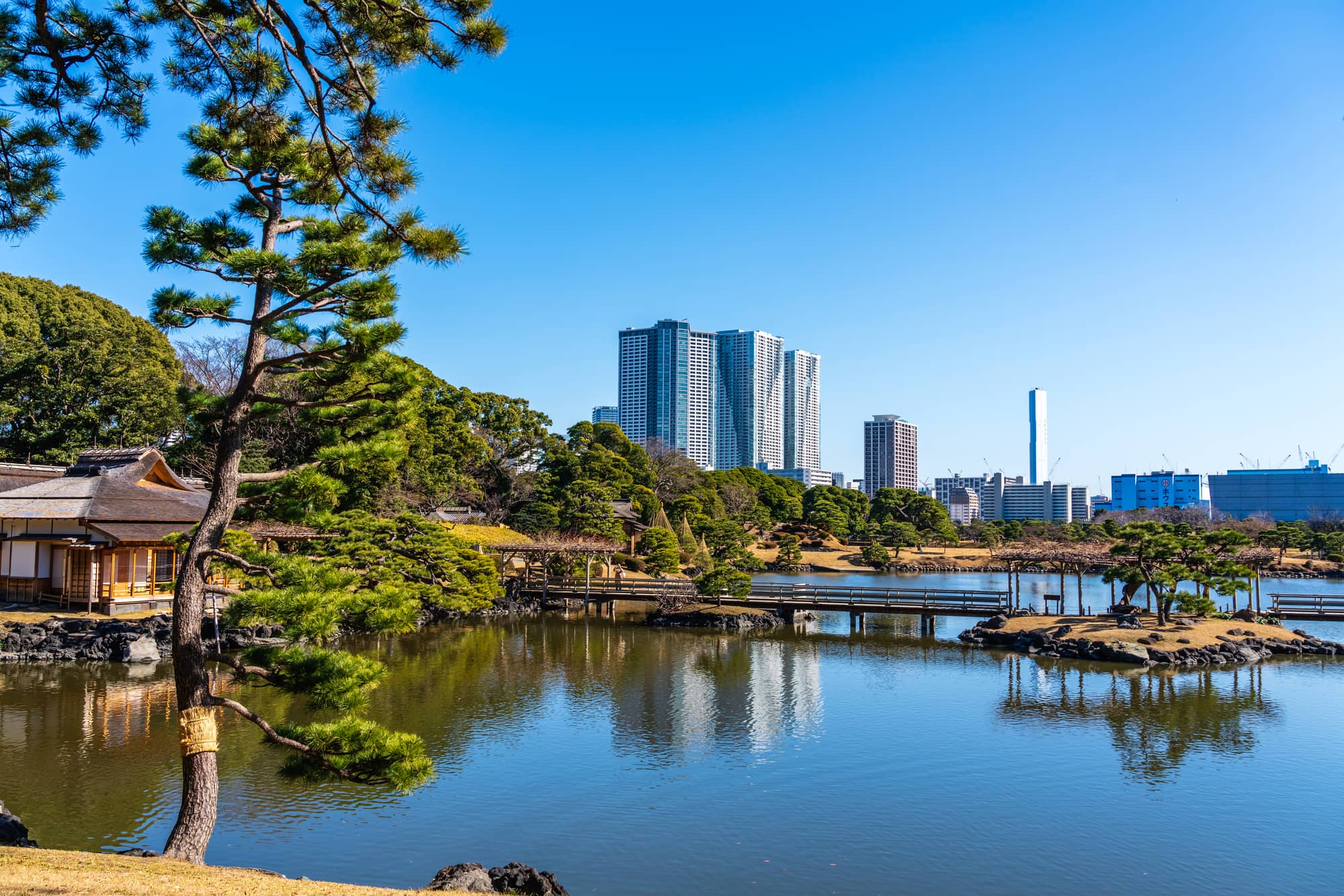 Hamarikyu Gardens in Tokyo, Japan
